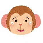 monkey-01